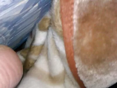 Innan xxx free porr hon kan åka honom som en cowgirl måste barnet göra honom stel