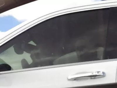 Solbränd atletisk bedövare blir plöjd av sin free porrfilm massageterapeut