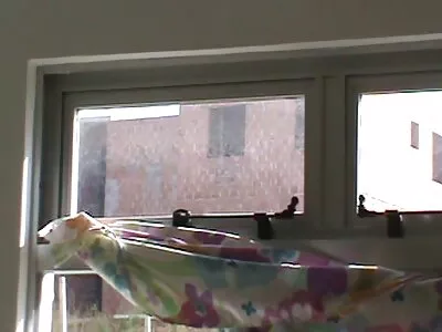 Extremt het korphårig bomb blir xnnx porr knullad